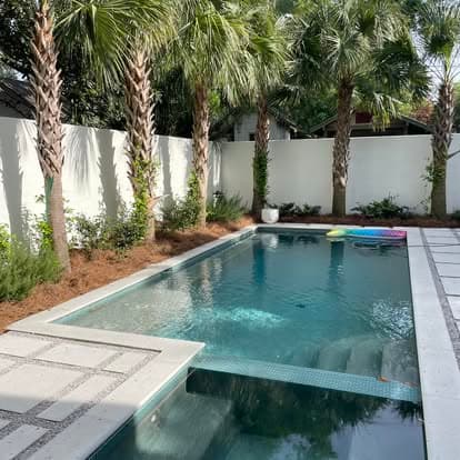 Pool surrounded by palm trees with fresh pine straw beds in Point Clear