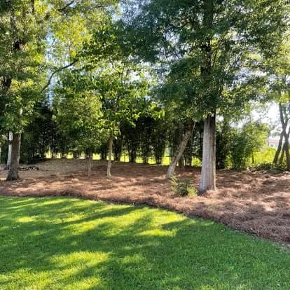 Wooded property with thick fresh pine straw covering the treed area